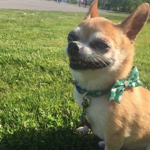 Meet your Posher, Allison